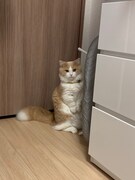 二足で立っているマース。