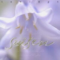 TAWINGS「水仙」配信ジャケット