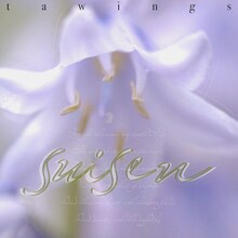 TAWINGS「水仙」配信ジャケット