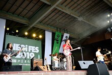 シャムキャッツ