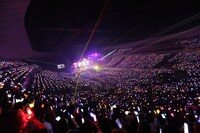 「オールナイトニッポン0（ZERO）presents XYZ TOUR 2019 -YOKOHAMA ARENA-」の様子。（撮影：小松陽祐［ODD JOB］、堀卓朗［ELENORE］、釘野孝宏）