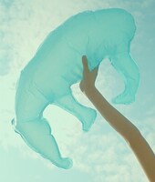 ねごと「お口ぽかーん！LAST TOUR ～寝ても覚めてもねごとじゃナイト～」通常盤ジャケット