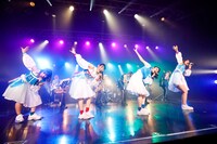 TEAM SHACHI（撮影：笹森健一）