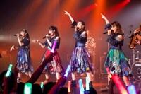 TEAM SHACHI（撮影：笹森健一）