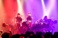 TEAM SHACHI（撮影：笹森健一）