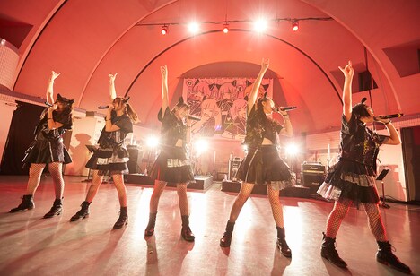 「わーすた FREE LIVE“ゆうめいに、にゃる!!!!!”」の様子。（写真提供：エイベックス）