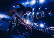 「HITORIE LIVE TOUR UNKNOWN 2018 "Loveless"- 2017 "IKI"」応援店購入者特典ポスターサンプル画像