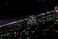 うらたぬき（撮影：小松陽祐［ODD JOB］、堀卓朗［ELENORE］）