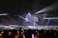 「浦島坂田船 SUMMER TOUR 2019 ～浦島theカジノ船 俺たち愛＄、今夜お前とBETイン～」最終公演の様子。（撮影：小松陽祐［ODD JOB］、堀卓朗［ELENORE］）