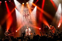 ハンブレッダーズ「FM802 30PARTY Eggs presents MINAMI WHEEL 2019」のライブの様子。（撮影：松本いづみ）