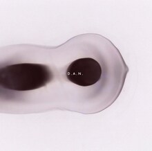 D.A.N.「Aechmea」ジャケット