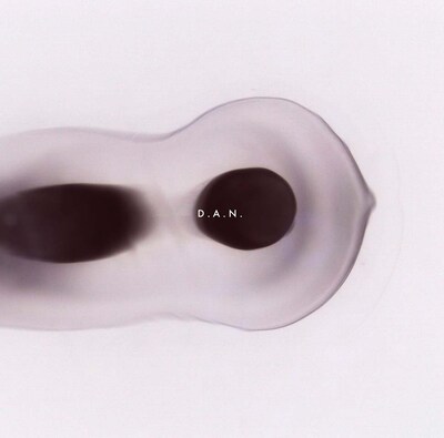 D.A.N.「Aechmea」ジャケット