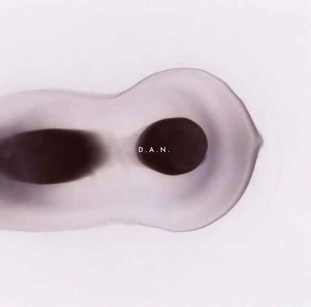 D.A.N.「Aechmea」ジャケット