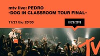MTV「MTV LIVE: PEDRO - DOG IN CLASSROOM TOUR FINAL -」告知バナー
