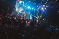 アンスリューム「強欲なアンスリューム」の様子。（写真提供：リーディ）