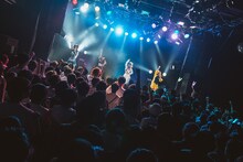 アンスリューム「強欲なアンスリューム」の様子。（写真提供：リーディ）