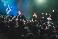 アンスリューム「強欲なアンスリューム」の様子。（写真提供：リーディ）