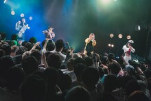 アンスリューム「強欲なアンスリューム」の様子。（写真提供：リーディ）