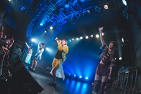 アンスリューム「強欲なアンスリューム」の様子。（写真提供：リーディ）