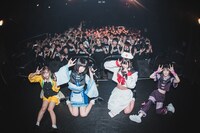 アンスリューム「強欲なアンスリューム」の様子。（写真提供：リーディ）