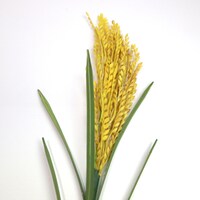 「光る！INAHO」消灯時の様子。