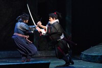 「里見八犬伝」公開ゲネプロの様子。