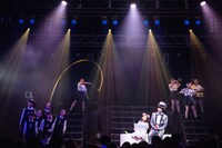 「ゾウの恋」のワンシーン。