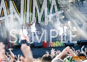 WANIMA「WANIMA写真展 ～Good Job!! Release Party 天草の乱～」スペシャルチケット特典ポスター