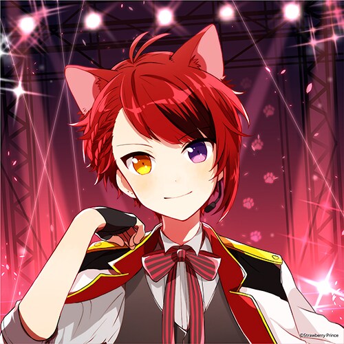 すとぷり 莉犬 莉犬くん アルバム Realize キャラクターグッズ 14newton Com