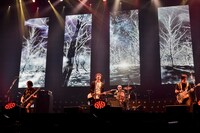 the pillows（撮影：橋本塁＜SOUND SHOOTER＞、玉井信吾）