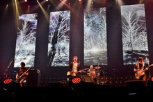 the pillows（撮影：橋本塁＜SOUND SHOOTER＞、玉井信吾）