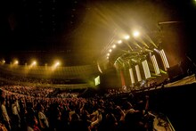 「the pillows 30th Anniversary Thank you, my highlight vol.05 "LOSTMAN GO TO YOKOHAMA ARENA"」の様子。（撮影：橋本塁＜SOUND SHOOTER＞、玉井信吾）