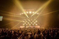 the pillows（撮影：橋本塁＜SOUND SHOOTER＞、玉井信吾）