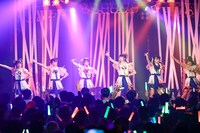 マジカル・パンチライン「Trick or Treat！The Spooky Magi-Pumpkins Tour 2019」神奈川・Yokohama Bay Hall公演の様子。（撮影：名和洋助）