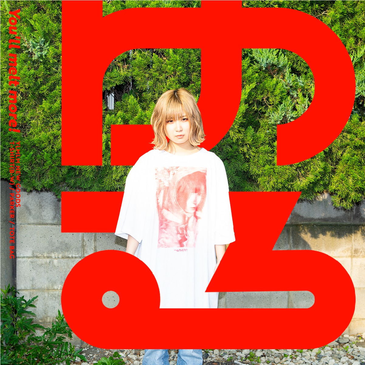 新グッズを身に付けたしふぉん。