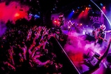 「アリス九號. ONEMAN TOUR 2019『革命開花 ep1. -絶対"黒"領域-』」東京・LIQUIDROOM公演の様子。(Photo by miki fujiwara)