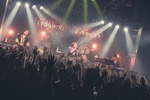 「アカシック ラストワンマンライブ ～愛しき実話～ 東京編」の様子。（撮影：真島洸）