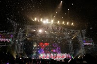 乃木坂46「NOGIZAKA46 Live in Shanghai 2019」の様子。