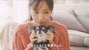 「#愛犬ほっこりあるある」より板野友美とラムネ。