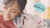 「#愛犬ほっこりあるある」より「#かおペロ」するアモーレ。