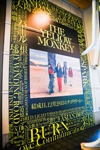 THE YELLOW MONKEYの全曲名を記した壁紙。