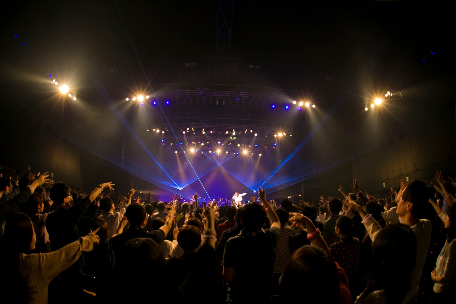 「植田真梨恵 SPECIAL LIVE "PALPABLE! MARBLE! LIVE! -ANNIVERSARY 2019-"」東京・Zepp DiverCity TOKYO公演の様子。（撮影：山口渚）