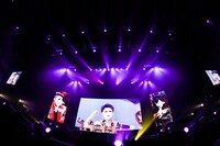 ゴールデンボンバー「地方民について本気出して考えてみた～4年以上行ってない県ツアー～」神戸ワールド記念ホール公演の様子。（撮影：渡邉一生）