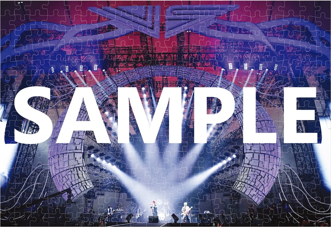 「20th Anniversary Special LIVE “NIPPONロマンスポルノ'19 ～神vs神～」封入特典のパズル。