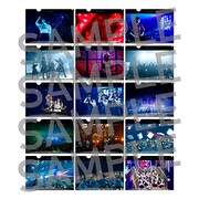 「欅坂46 カフェ」クリアファイル（ランダム15種）