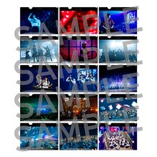 「欅坂46 カフェ」クリアファイル（ランダム15種）