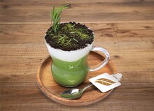 「欅坂46 カフェ」メニュー「風に吹かれても寒くならない HOT 抹茶ミルク」