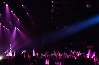 星名美怜生誕ソロライブ「PINK DOLL HOUSE:2」の様子。