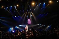 「阿部真央弾き語りらいぶ2019」東京・TSUTAYA O-EAST公演の様子。（撮影：笹森健一）