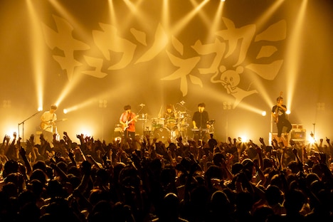 キュウソネコカミのステージの様子。（撮影：Viola Kam［V'z Twinkle］）